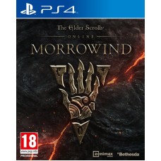 The Elder Scrolls Online: Morrowind PS4, korišćena igrica